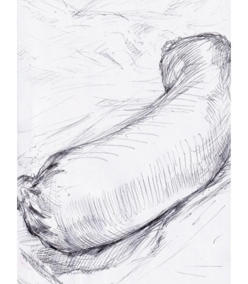 Fleischwurst linear, Kunstdruck A4 