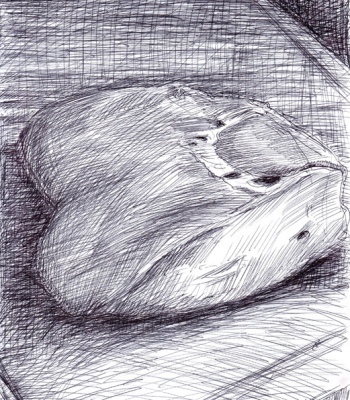 Stück Leber, Original - Zeichnung (1)