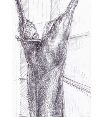 Reh Studie 2, Kunstdruck A4 