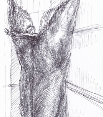 Reh Studie 2, Original - Zeichnung (1)