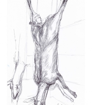 Rehstudien, Kunstdruck A2