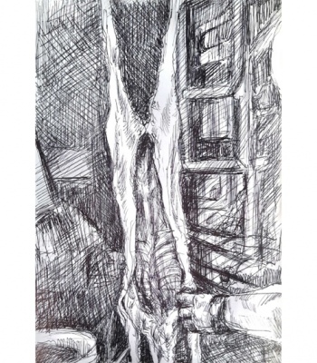 Reh Studie, Kunstdruck A2