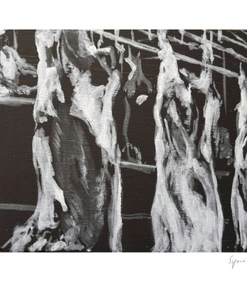 Rinder, Kunstdruck A2 