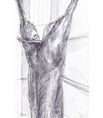 Reh Studie 2, Kunstdruck A2